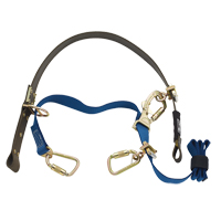 Cynch-Lok Web Pole Climbing Device Waymarc Industries Inc