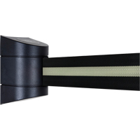 TensaBarrier&reg; Wall Mounted Units, Plastic, Screw Mount, 15', Black Tape Waymarc Industries Inc