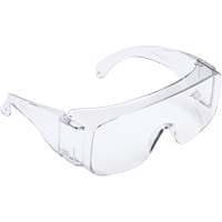 Tour-Guard V Series Safety Glasses, Clear Lens, Meets/Exceeds CSA Z94.3 Waymarc Industries Inc