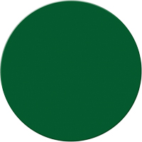 Armor Stripe Lean/5S Markers, Circle, 6" L x 6" W, Green, Plastic Waymarc Industries Inc