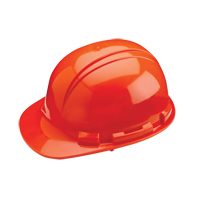 Dynamic Whistler Hardhat, ANSI Type I/CSA Type 1, Pinlock Suspension Waymarc Industries Inc