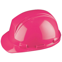 Casque Mont-Blanc de North, R&eacute;pond aux normes CSA type 2, Suspension Rochet, Non ventil&eacute; Waymarc Industries Inc