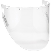 Visi&egrave;re moul&eacute;e Dynamic, PETG, Teinte Transparent Waymarc Industries Inc