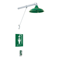 Freeze Protected Drench Shower, Wall-Mount Waymarc Industries Inc