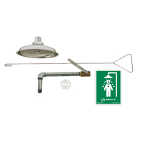 Drench Shower, Ceiling-Mount Waymarc Industries Inc