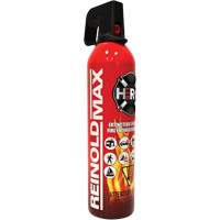 Fire Extinguisher, ABC/K, 2 lbs. Capacity SGC461 | Waymarc Industries Inc