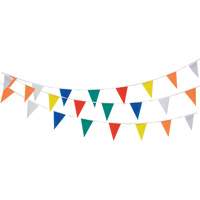 Cordon de fanions, 60' lo, Multicolore Waymarc Industries Inc