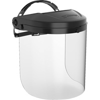 Dynamic Faceshield, PETG, Pinlock Suspension Waymarc Industries Inc