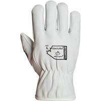 Endura&reg; Winter-Lined Driver Gloves, X-Large, Grain Goatskin Palm, Thinsulate Inner Lining Waymarc Industries Inc