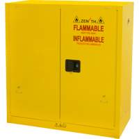 Flammable Storage Cabinet, 30 gal., 2 Door, 43" W x 44" H x 18" D SGU465 | Waymarc Industries Inc