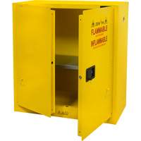 Flammable Storage Cabinet, 30 gal., 2 Door, 43" W x 44" H x 18" D SGU465 | Waymarc Industries Inc