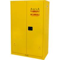 Flammable Storage Cabinet, 45 gal., 2 Door, 43" W x 65" H x 18" D SGU466 | Waymarc Industries Inc