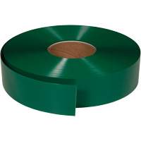 ArmorStripe&reg; Ultra Durable Floor Tape, 2" x 100', PVC, Green Waymarc Industries Inc