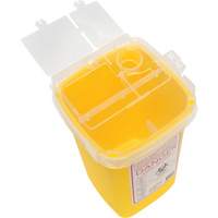 Sharps Container, 1 L Capacity SGW112 | Waymarc Industries Inc