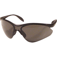 Miranda Safety Glasses, Grey Lens, Anti-Scratch, Meets/Exceeds CSA Z94.3 Waymarc Industries Inc