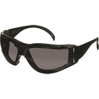 CeeTec™ DX Safety Glasses, Grey Lens, Anti-Fog/Anti-Scratch Coating, CSA Z94.3 SGX105 | Waymarc Industries Inc