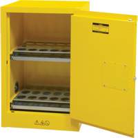 Flammable Aerosol Storage Cabinet, 12 gal., 1 Door, 23" W x 35" H x 18" D SGX675 | Waymarc Industries Inc