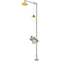 Combination Emergency Shower & Eyewash Station, Pedestal SGZ070 | Waymarc Industries Inc