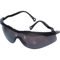Lunettes de s&eacute;curit&eacute; North The Edge, Lentille Fum&eacute;e, Antibu&eacute;e/Anti-&eacute;gratignures, R&eacute;pond ou surpasse la norme CSA Z94.3 Waymarc Industries Inc