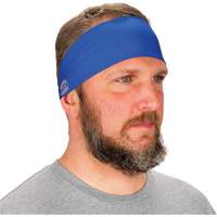 Chill-Its 6634 Cooling Headband, Blue SHB409 | Waymarc Industries Inc