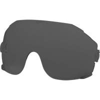 Eye Visor Replacement Lenses, Grey/Smoke Tint Waymarc Industries Inc