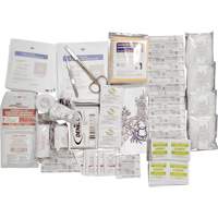Shield™ Basic First Aid Kit Refill, CSA Type 2 Low-Risk Environment, Small (2-25 Workers) SHJ863 | Waymarc Industries Inc