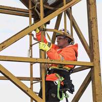 SA-54022-4 Longe &agrave; amortisseur de choc, 4', Point d'ancrage &agrave; Crochet d&eacute;chafaudage, Crochet mousqueton aux jambes, Polyester Waymarc Industries Inc