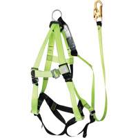 FBH-10000A6440-4 4' Class A Harness & Lanyard with 350 lbs. Capacity, Harness/Lanyard Combo Waymarc Industries Inc