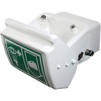 Eye/Face Wash, Wall-Mount Installation, Plastic Bowl Waymarc Industries Inc