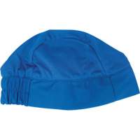 Cooling Skull Cap, Blue Waymarc Industries Inc