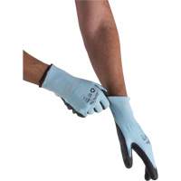 Gants &eacute;lastiques &eacute;cologiques r&eacute;sistants &agrave; la coupe, Taille 11, Calibre 13, Rev&ecirc;tement Polyur&eacute;thane, Enveloppe en PEHP/rPET, ASTM ANSI niveau A3 Waymarc Industries Inc