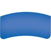 Bullard GenVX PETG Outer Lens Waymarc Industries Inc