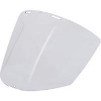Clear Visor Waymarc Industries Inc
