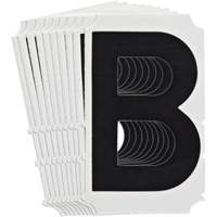 Quick-Align<sup>®</sup> Individual Gothic Number and Letter Labels, B, 4" H, Black SZ990 | Waymarc Industries Inc