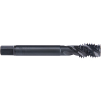 Taraud &agrave; cannelure en spirale 45°, Acier rapide au cobalt, Filet de 10-32, 2-3/8" l Waymarc Industries Inc
