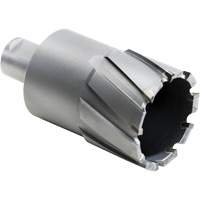 Annular Cutters