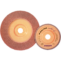 Disque &agrave; lamelles Stainless Enduro-Flex, 4-1/2" x 7/8", Type 27, Grain 40, Alumine de zirconium Waymarc Industries Inc