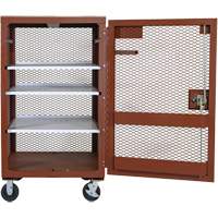 Mobile Mesh Cabinet, Steel, 22 Cubic Feet, Red Waymarc Industries Inc