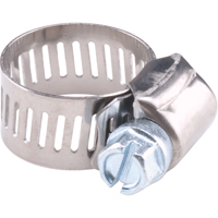 Hose Clamps - Stainless Steel Band & Zinc Plated Screw, Min Dia. 1/2", Max Dia. 1-1/8" TLY182 | Waymarc Industries Inc