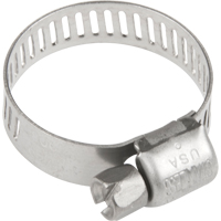 Hose Clamps - Stainless Steel Band & Screw, Min Dia. 0.316, Max Dia. 7/8" TLY284 | Waymarc Industries Inc