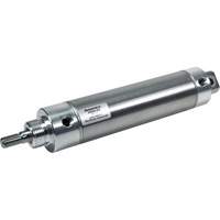 Cylindres pneumatiques non r&eacute;parables Round Line Waymarc Industries Inc