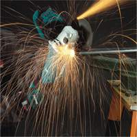 Angle Grinder with AC/DC Switch, 5", 10.5 A, 11000 RPM TNB114 | Waymarc Industries Inc