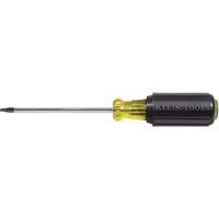 Tournevis Klein a/manche caoutchout&eacute;-Tournevis Torx &agrave; tige ronde Waymarc Industries Inc