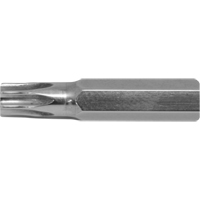 Embout de rechange pour tournevis multi embouts Stubby, Torx, 15, Prise 1/4" Waymarc Industries Inc