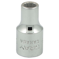 Socket, 3/16", 1/4" Drive, 12 Points Waymarc Industries Inc