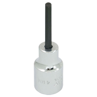 Embout de rechange, 5 mm x 1-1/5" lo, Prise 3/8" Waymarc Industries Inc