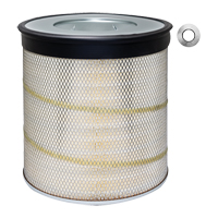 PA2839 &eacute;l&eacute;ment de filtre &agrave; air avec tirettes Waymarc Industries Inc