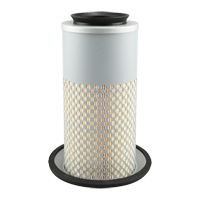 PA3833 &eacute;l&eacute;ment de filtre &agrave; air Waymarc Industries Inc