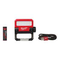 Projecteur d'illumination pivotant Rover USB, DEL, 550 lumens, Piles Rechargeable Waymarc Industries Inc