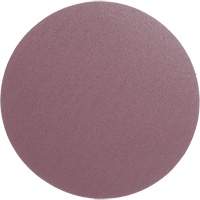 PSA Cloth Disc 348D, 12" Dia., 60 Grit, Aluminum Oxide, X-Weight Waymarc Industries Inc